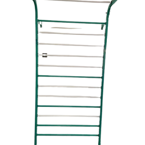 Orthopedic Ladder